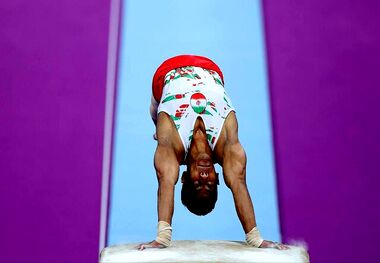 واکنش IOC به تاریخ سازی مهدی الفتی